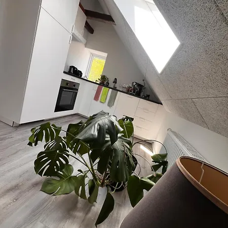Apartament Dalgade Loft And Living